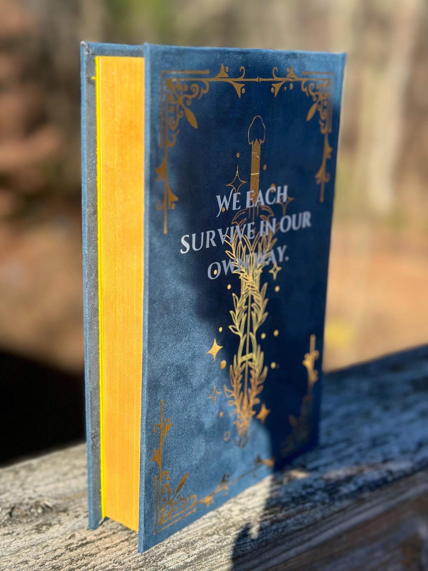 Throne Of Glass by Sarah J. Maas | Special Edition | Rebind