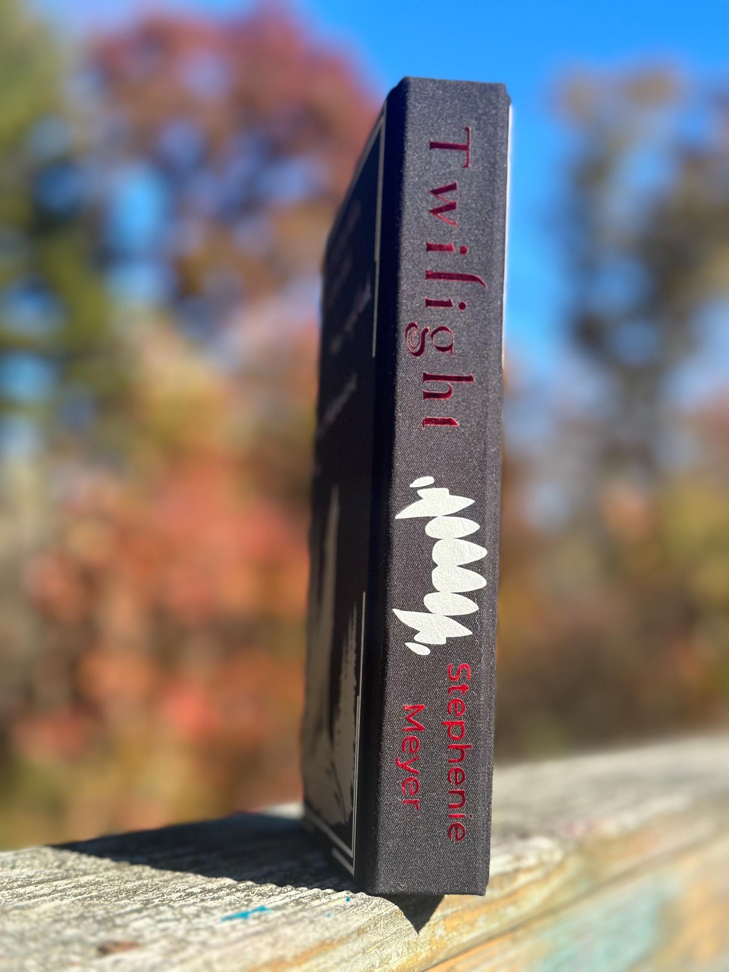 Twilight by Stephenie Meyer | Special Edition | twilight saga | Rebind