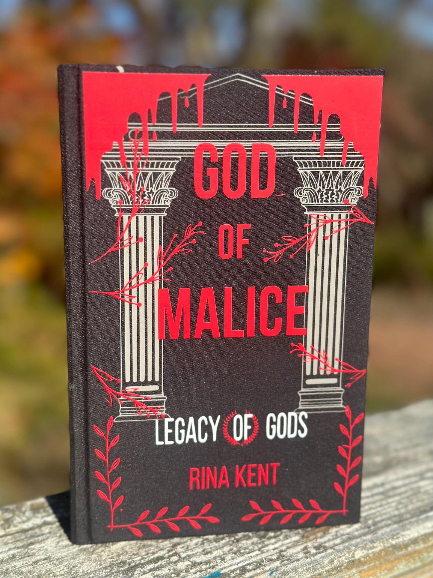 Blind Date with a Rebind – Bookish Mystery Box