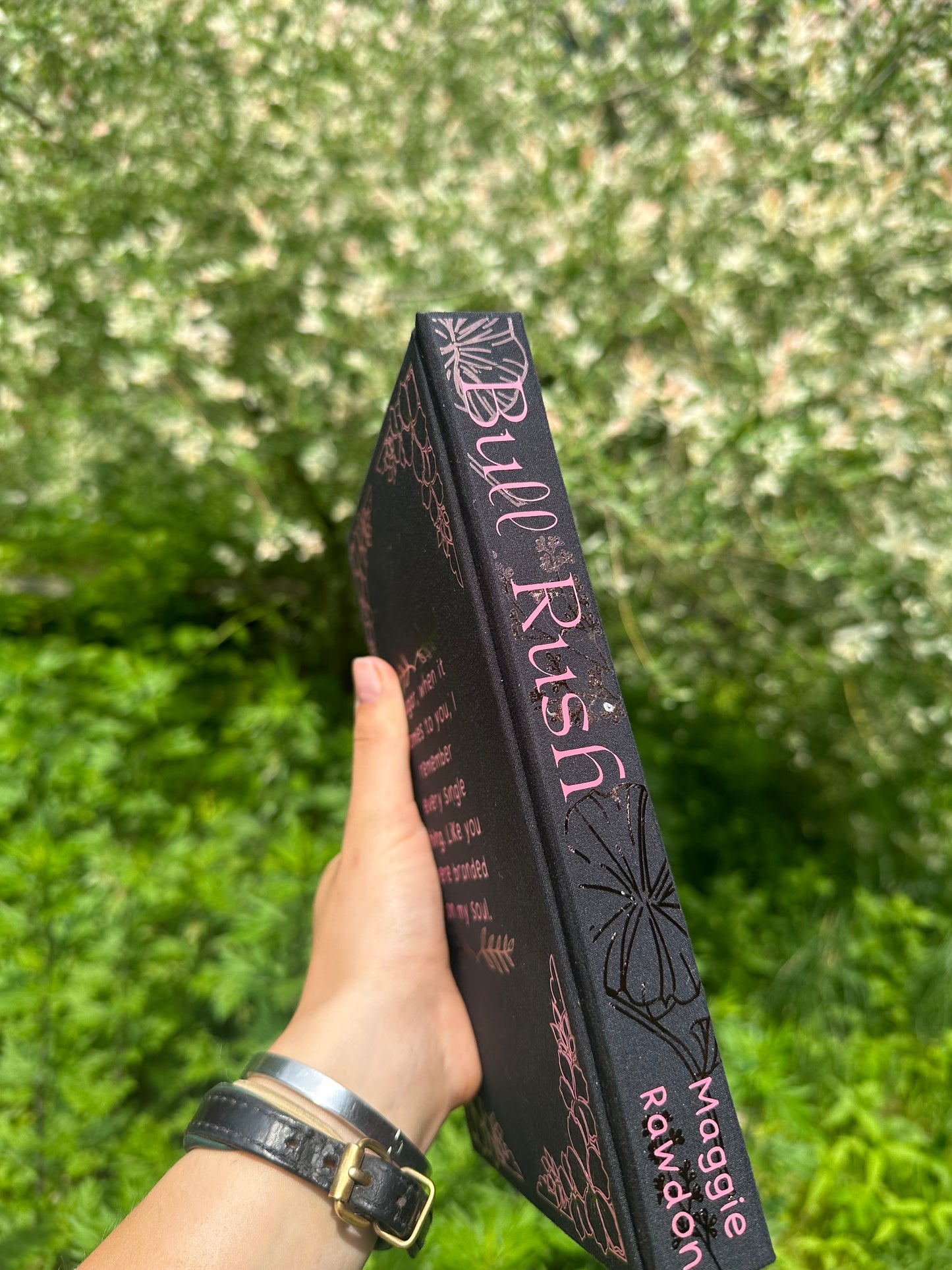 Bull Rush by Maggie Rawdon | Special Edition | Rebind